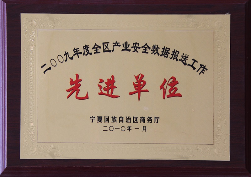 2009年度全區(qū)產(chǎn)業(yè)安全數(shù)據(jù)報送工作先進單位